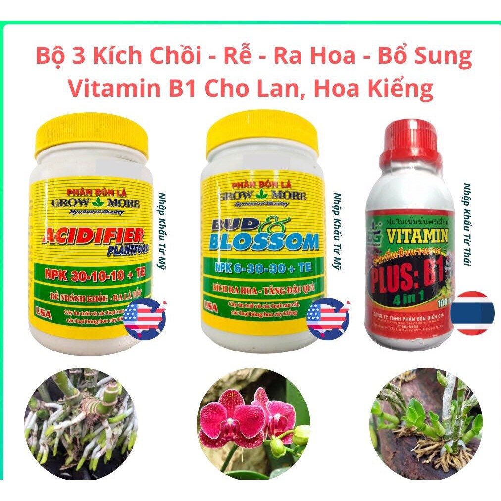Bộ Ba Phân Bón Hữu Cơ Cho Lan Hoa Kiểng Kích Ra Mầm Growmore  301010, Kích Mọc Rễ, Ra Hoa 63030 & Vitamin B1