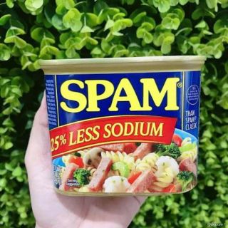 Thịt hộp SPAM của Mỹ 340g