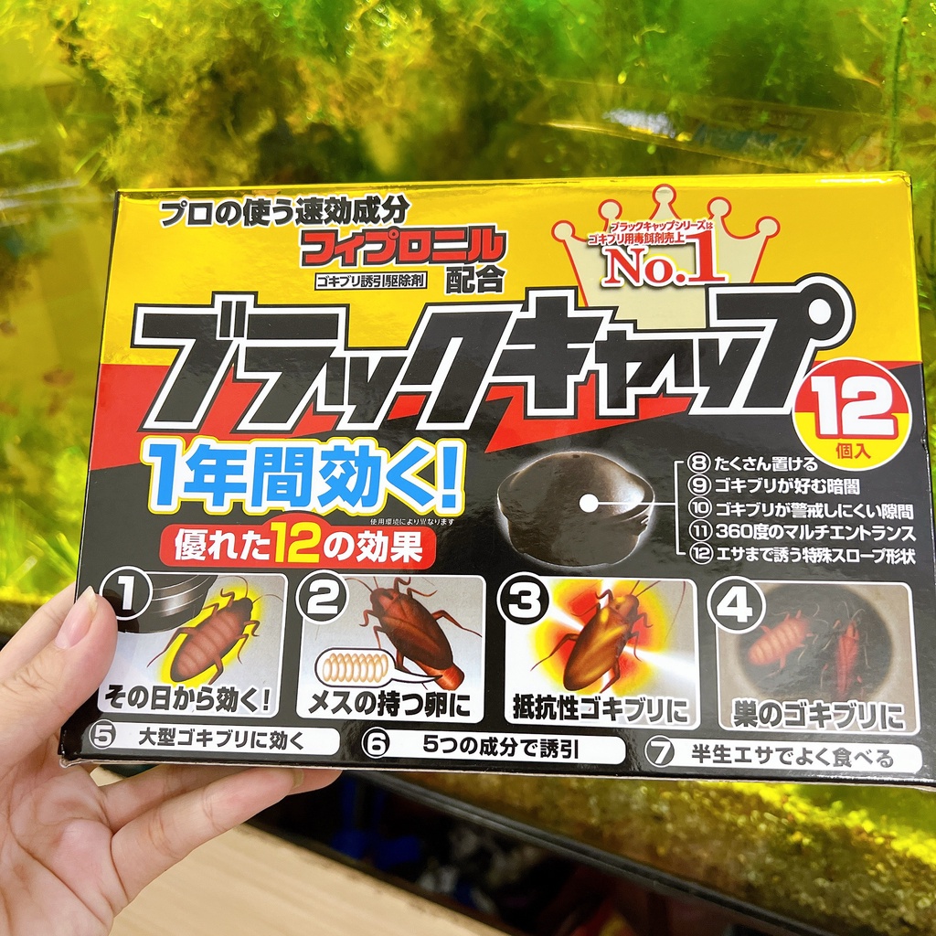 DIỆT GIÁN NHẬT BẢN - SET 12 VIÊN ĐUỔI GIÁN, CÔN TRÙNG TIỆN DỤNG, TẬN GỐC AN TOÀN