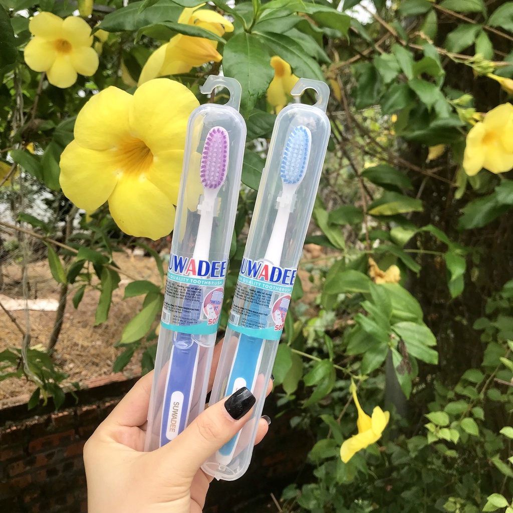 Hộp 30 Chiếc Bàn Chải Đánh Răng SUNREE Thái Lan Hộp Có Móc Treo Nhiều Màu