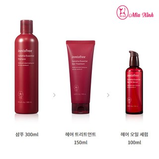 Dầu Gội Innisfree Camellia Essential Shampoo
