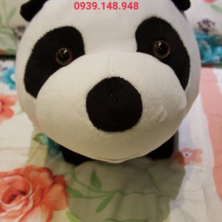 Gấu bông gấc trúc bé nhỏ dễ thương