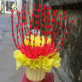 Nguyên liệu tầm xuân