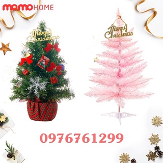 Cây thông noel mini để bàn cao cấp có trang trí chữ Merry Chrismas