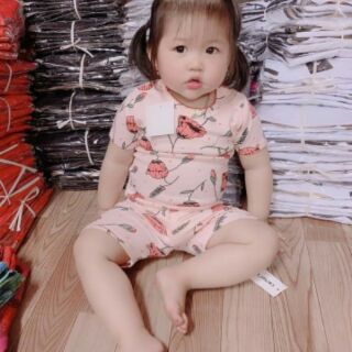 5 bộ bozip hình