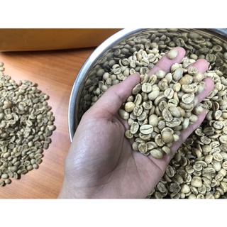 Hạt cà phê nhân xanh arabica S18 chất lượng cao, cà phê nhân sống, arabica Cầu Đất sàn 18