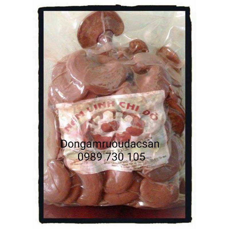 NẤM LINH CHI ĐỎ 1KG