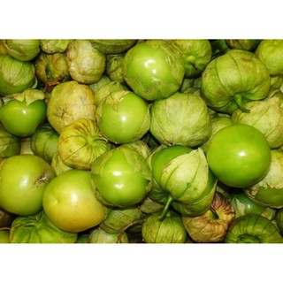 10 Hạt giống anh đào đất