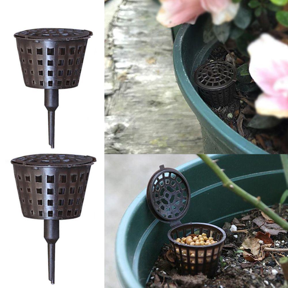 PISTA Set 20 Hộp Nhựa Trồng Cây Bonsai