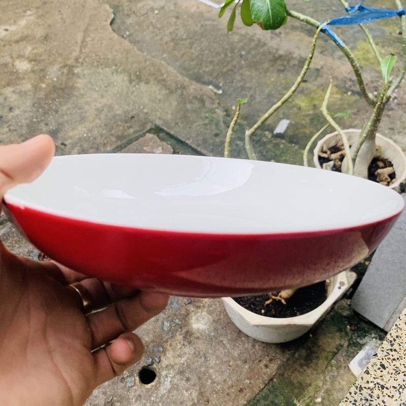 Bộ 2 dĩa sứ trắng sâu lòng - 20cm - màu đỏ pastel- men sứ  trắng caocấp