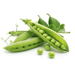 Gói 10 gr hạt giống đậu hà lan tặng kèm phân và kích mầm
