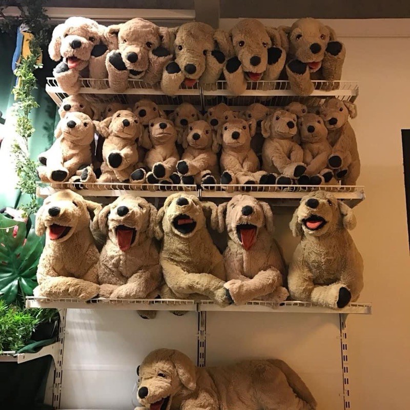 CHÓ BÔNG IKEA GOSIG GOLDEN