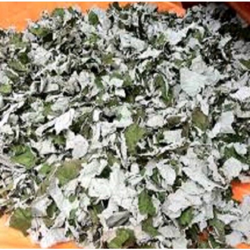 Lá Gai Làm Bánh Gai