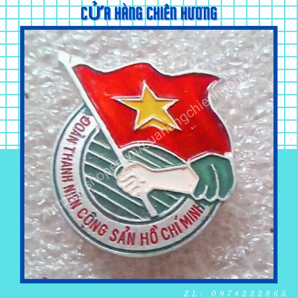 Sỉ 10  huy hiệu đoàn/ huy hiệu đội