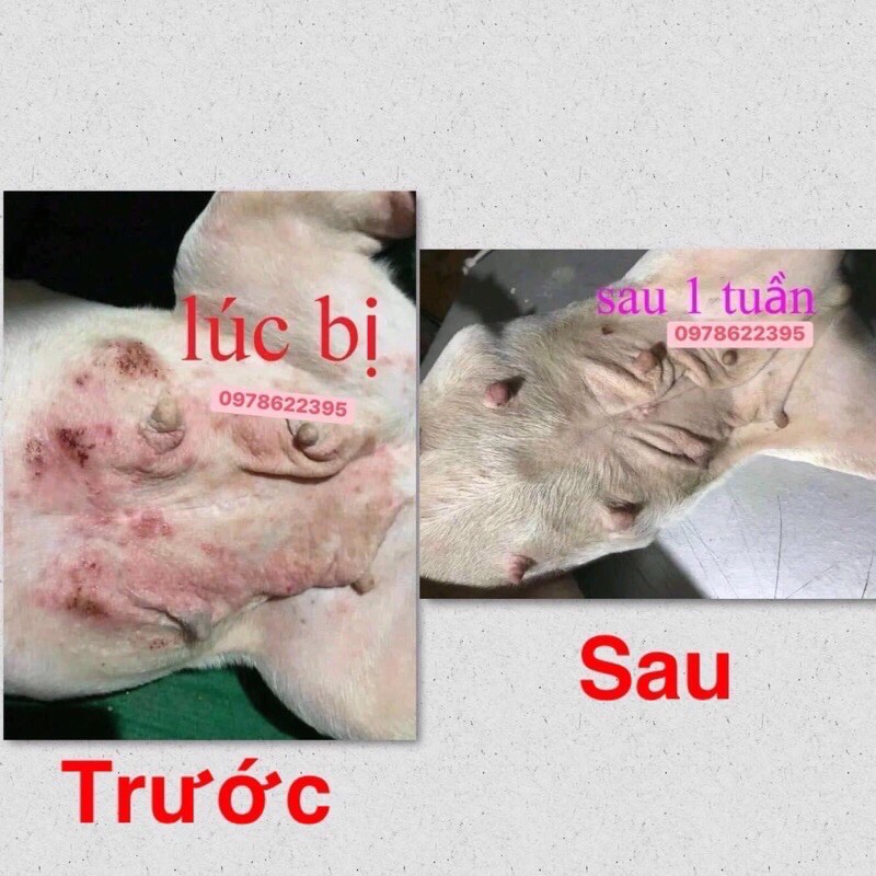 thuốc trị ghẻ nấm , viêm da