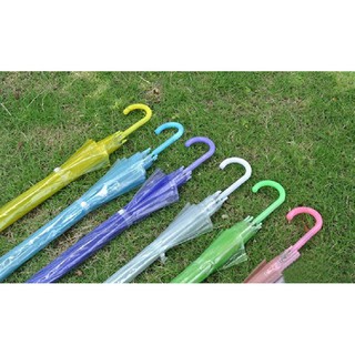 Ô dù trong suốt( xanh dương, xanh lá, tím,vàng,hồng)