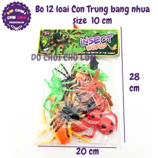Bộ đồ chơi 12 loài côn trùng bằng nhựa Insect World 661-29