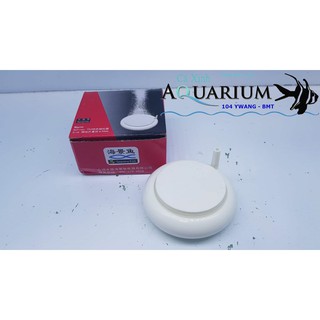 SỦI OXY ĐĨA TRẮNG SIÊU MỊN