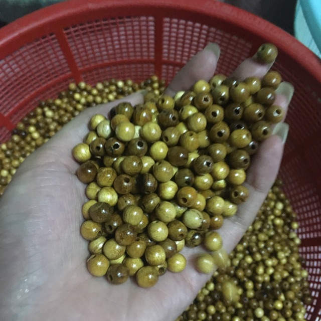 Hạt dâu tằm ( combo) 12