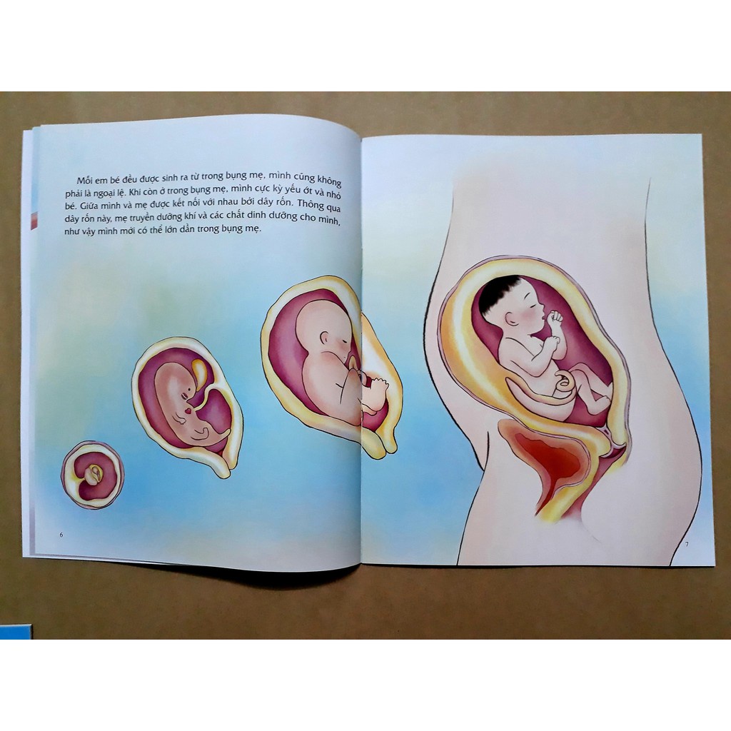 Sách Combo Giáo Dục Giới Tính Và Nhân Cách Dành Cho Bé Gái (Trọn Bộ 4 Tập)