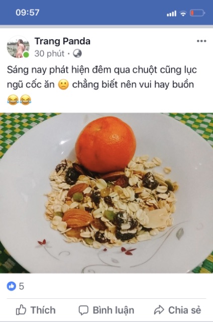 Granola Giảm Cân Vị Dừa Không Đường LANHFOODS