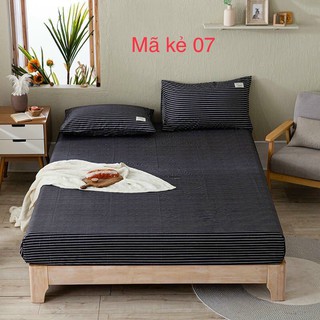 Bộ GA+2 VỎ GỐI CAO CẤP