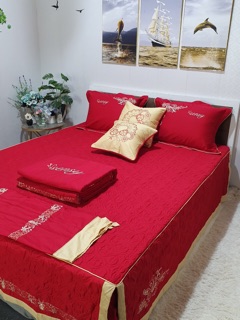 Sét Ga Gối ViKoSan ( Sensy )
