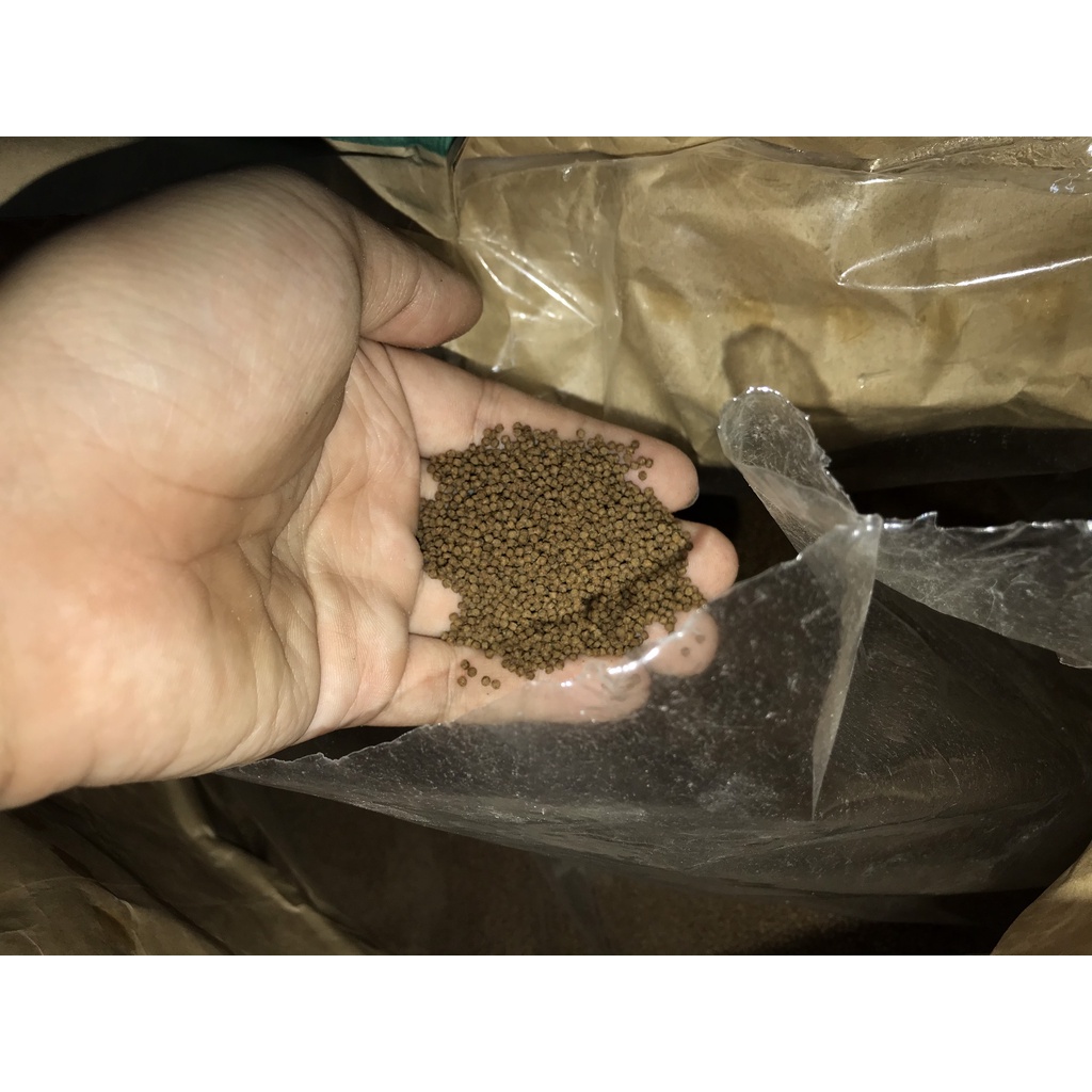 Cám chìm cho cá vàng SAKI- HIKARI BALANCE  500G