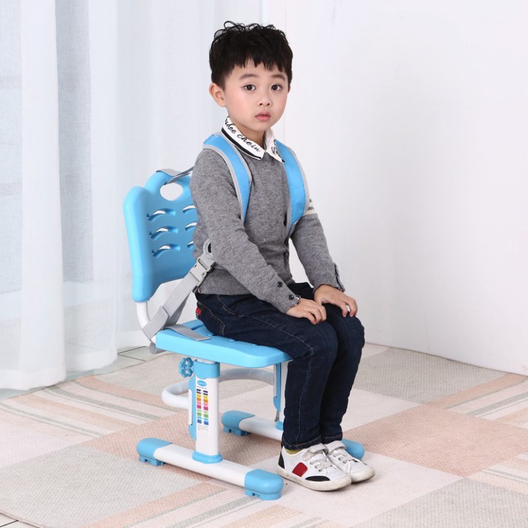 Ghế chống gù Royal D8 _chính hãng | BigBuy360 - bigbuy360.vn