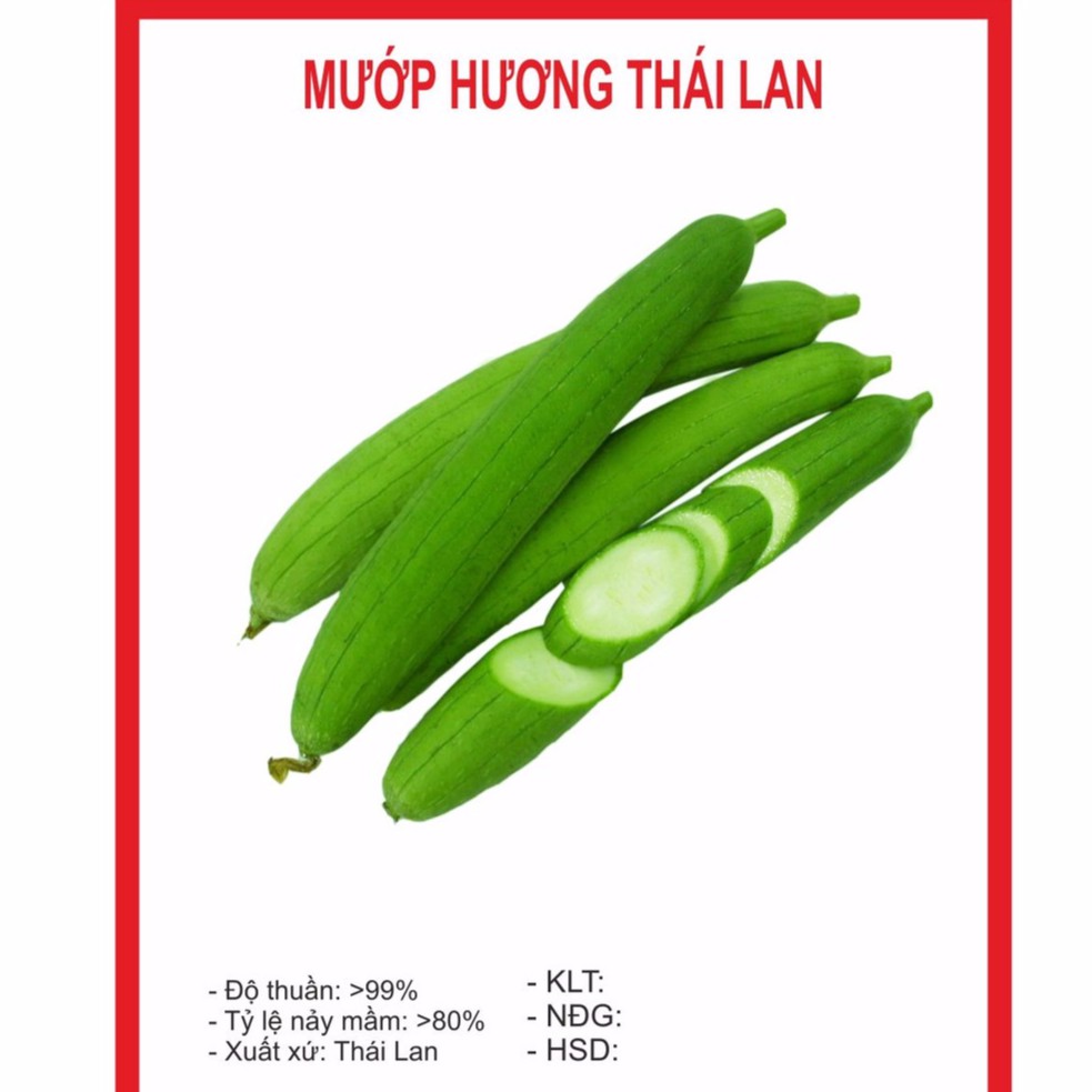  Hạt Giống Mướp Hương 10 Hạt