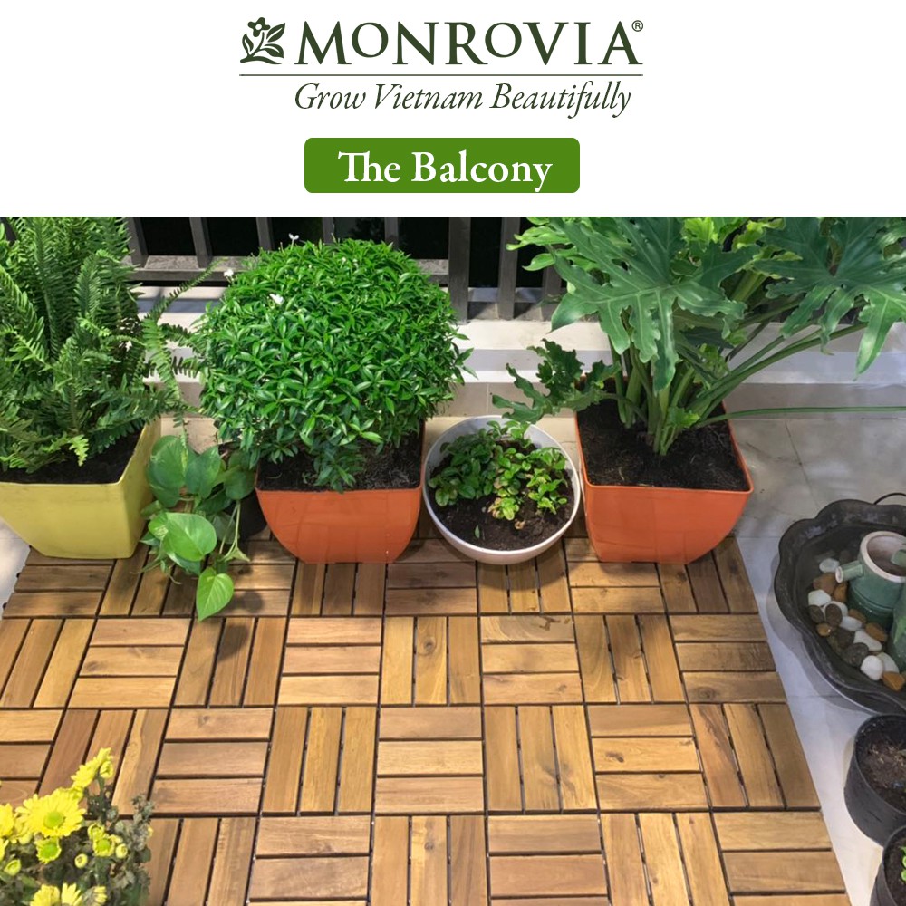 Vỉ gỗ lót sàn MONROVIA, gỗ tự nhiên cho ban công, ngoài trời, sân vườn, siêu bền, tiêu chuẩn Châu Âu