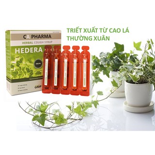 SIRO HO THẢO DƯỢC HEDERA (DẠNG ỐNG)