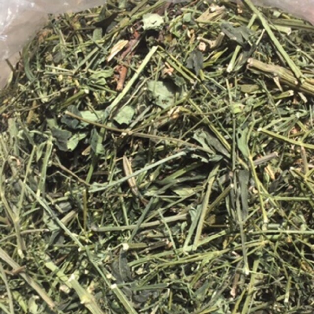 Xuyên Tâm Liên hàng chuẩn 1 kg Lá tắm thuỷ đậu mề đay