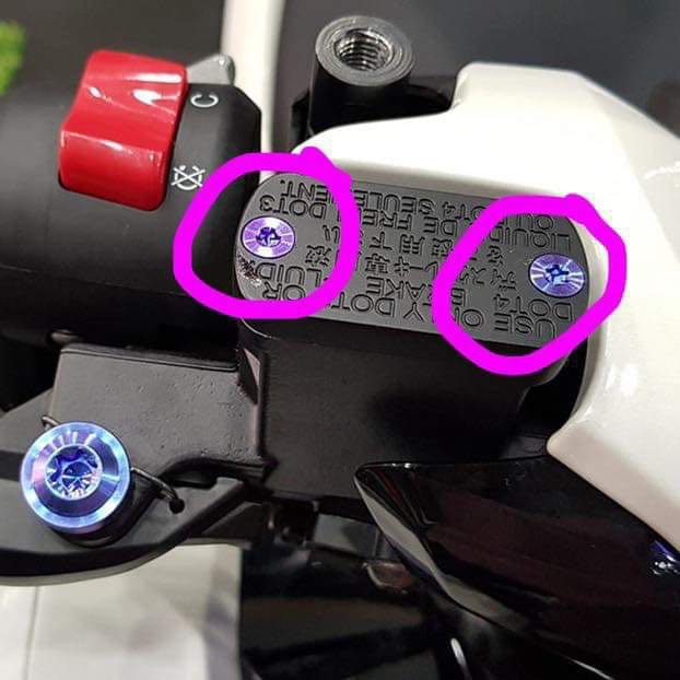 2 con Ốc nắp dầu zin titan 4li12 đầu dẹp