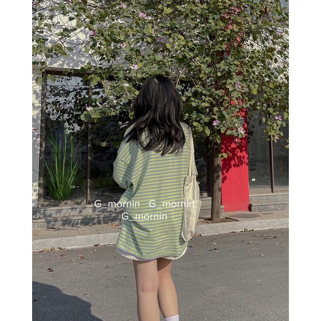 Áo pull kẻ NM - Gmornin