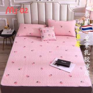 Chiếu điều hoà cao su non