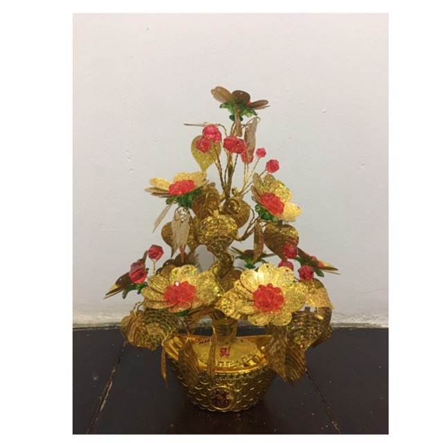 Cây kim tiền cao 28cm