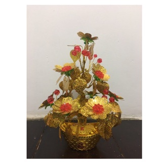 Cây kim tiền cao 28cm