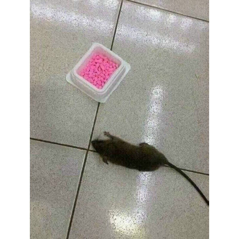 Thuốc diệt chuột Thái Lan