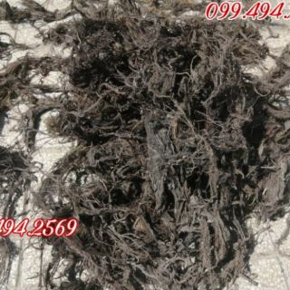 Rễ bèo tây (lục bình)