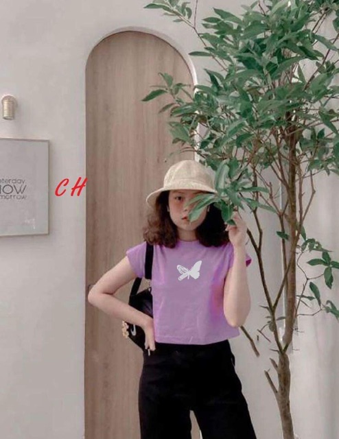 CH12 Áo croptop bướm cánh rỗng phản quang