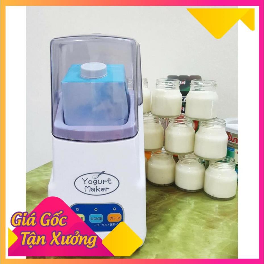 Máy làm sữa chua Nhật Bản Yogurt Maker