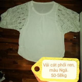 Áo sơ mi kiểu, áo thun đồng giá 20k