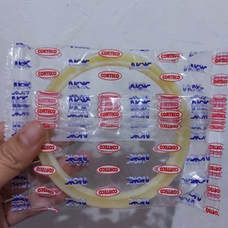 Phớt ben Nhật NOK 85 100 9 FU098-K0