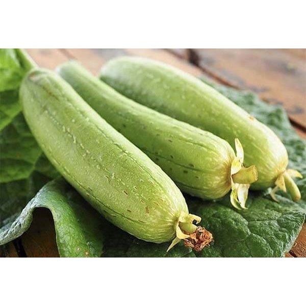 Mướp Hương  tươi ngon - giao Hỏa Tốc