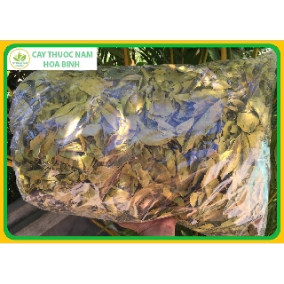 [GIÁ BUÔN] 200g chè dung trị viêm dạ dày