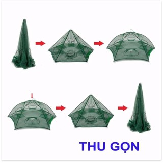 Lưới bát quái chuyên đánh bắt cá (8 lỗ)
