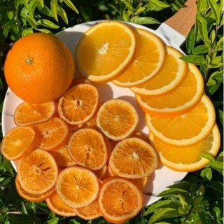 CAM SẤY LẠNH DẺO KHÔNG ĐƯỜNG