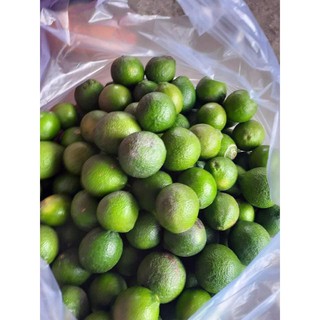 Chanh tươi có hạt miền tây 17k 1kg giao nowship từ tp. hcm