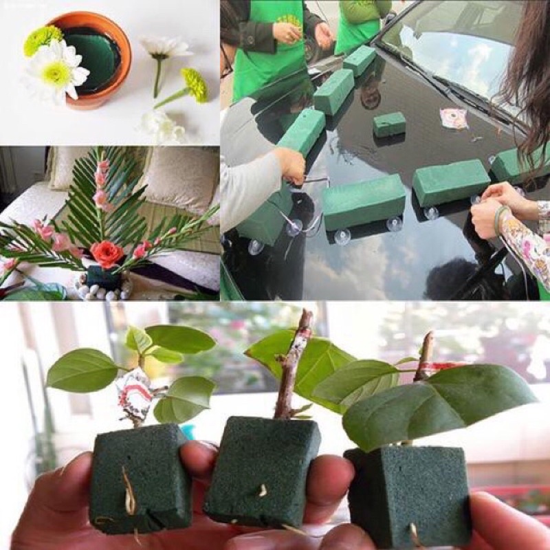 xốp cành cắm hoa trang trí